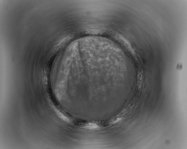 X0000098020114200804181213