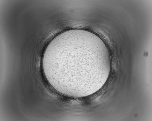 X0000098020115200804181213