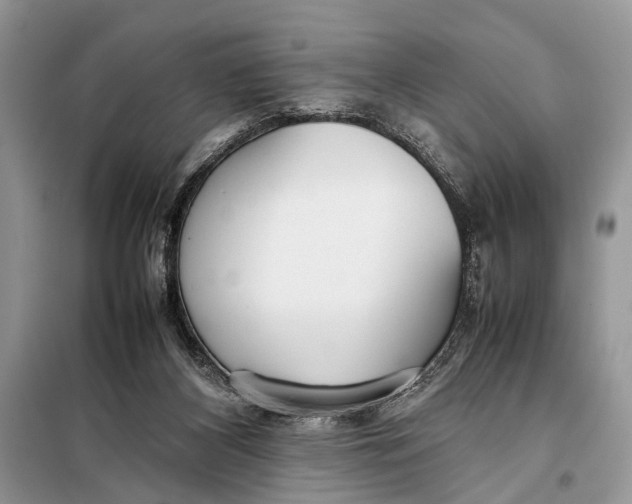 X0000098020116200804181213