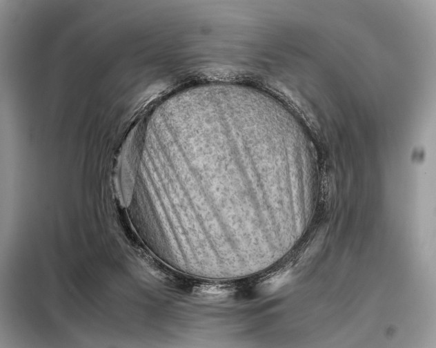 X0000098020117200804181213