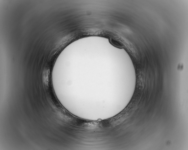 X0000098020118200804181213