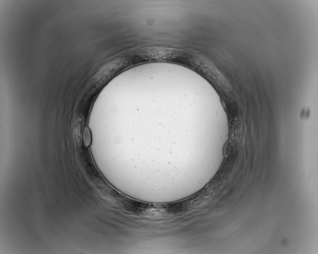 X0000098020119200804181213
