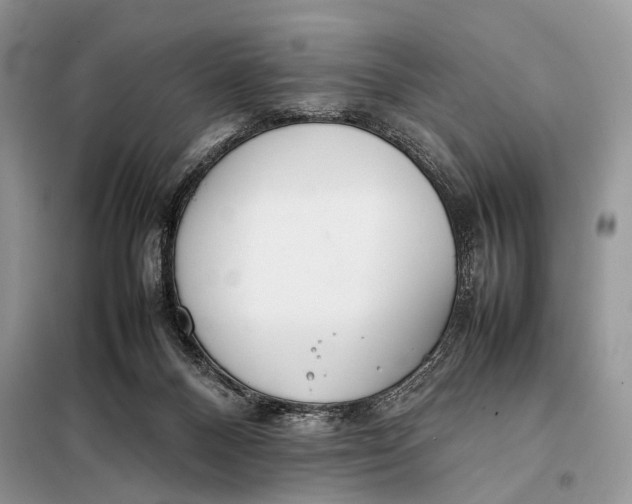 X0000098020120200804181213
