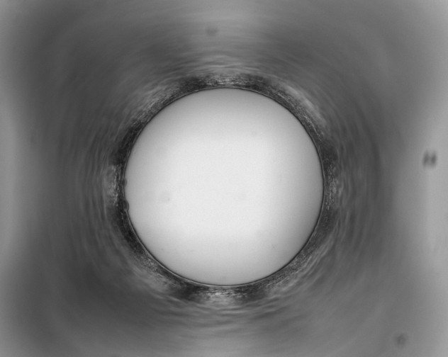 X0000098020121200804181213
