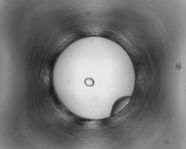 X0000098020122200804181213