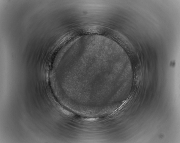 X0000098020124200804181213
