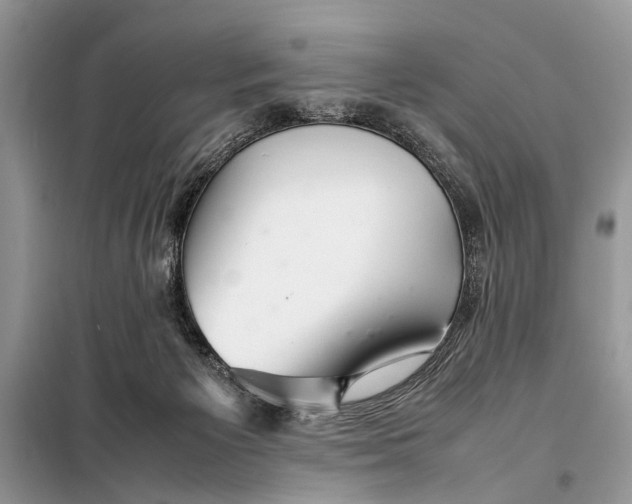 X0000098020125200804181213