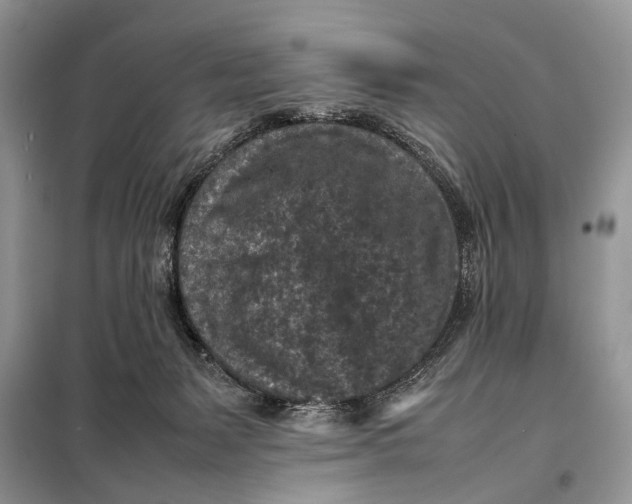 X0000098020127200804181213