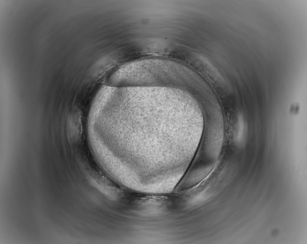 X0000098020128200804181213