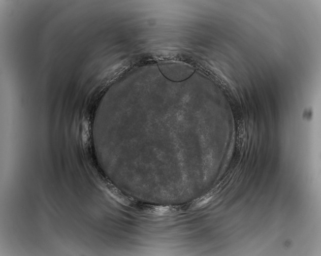 X0000098020130200804181213