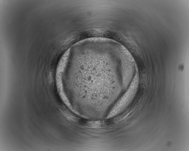 X0000098020131200804181212