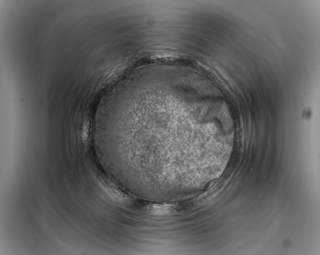 X0000098020134200804181212