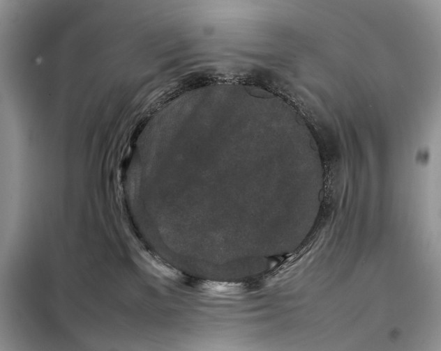 X0000098020137200804181212