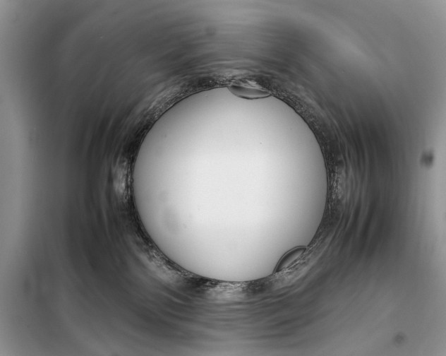 X0000098020138200804181212