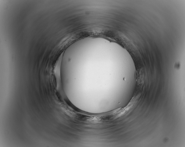 X0000098020140200804181212