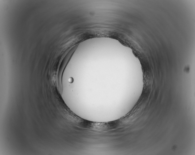 X0000098020141200804181212
