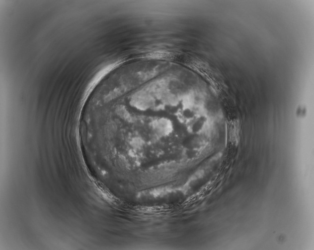 X0000098020147200804181211