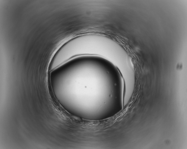 X0000098020148200804181211