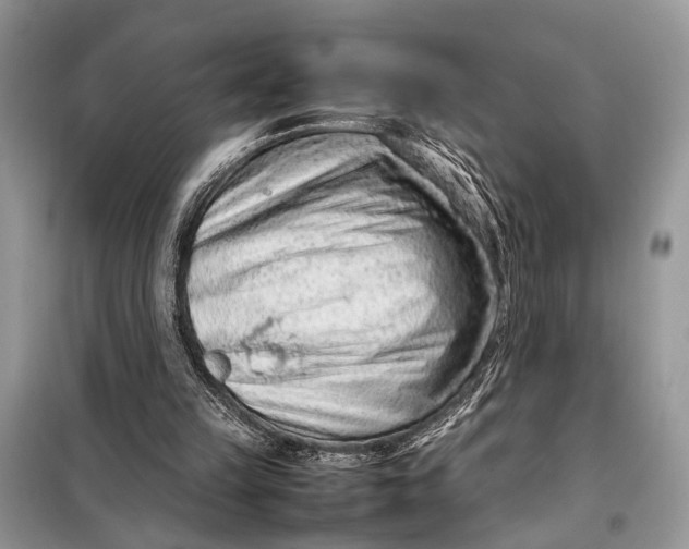 X0000098020149200804181211