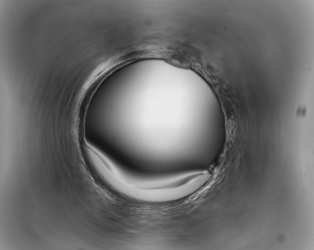 X0000098020150200804181211