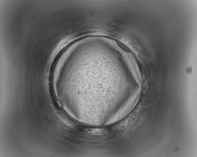 X0000098020151200804181211