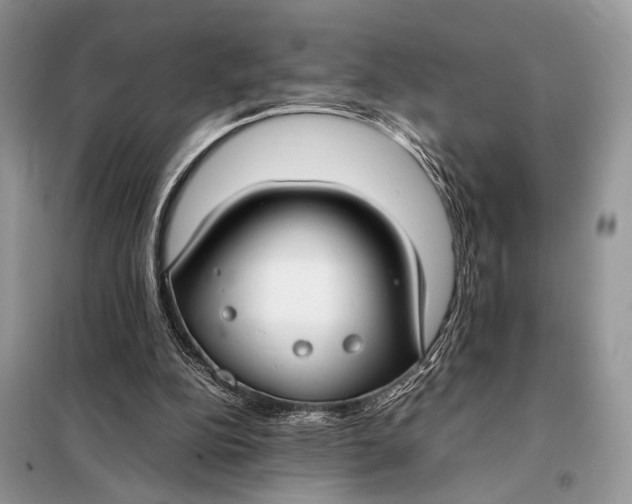 X0000098020152200804181211