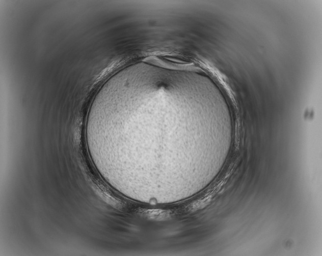 X0000098020153200804181211