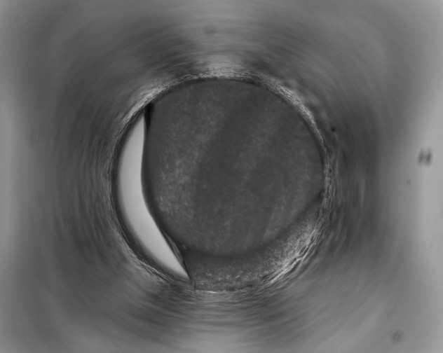 X0000098020154200804181211