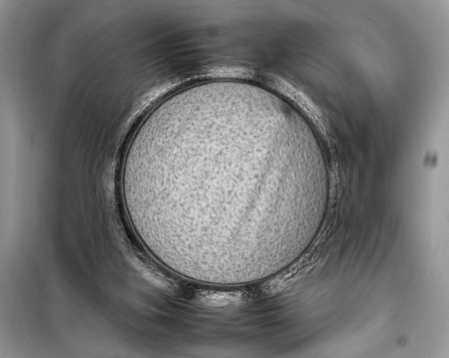 X0000098020155200804181211
