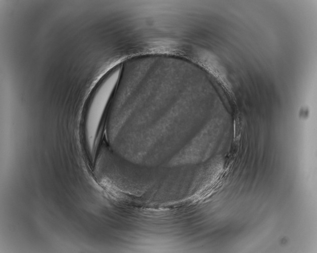 X0000098020156200804181211