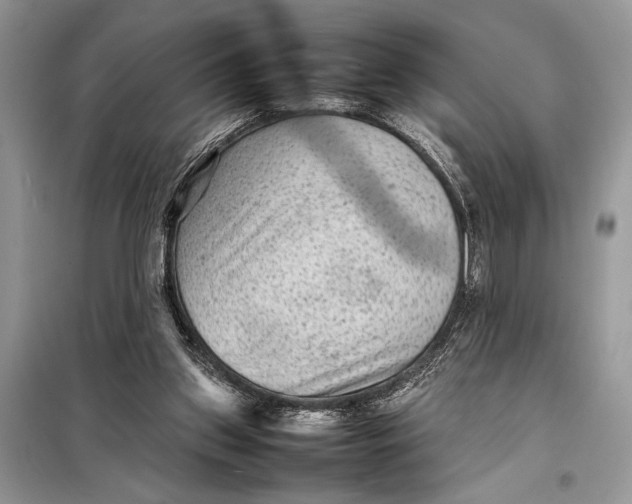 X0000098020157200804181211
