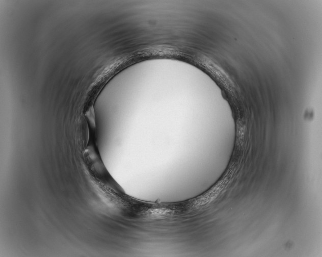 X0000098020158200804181211