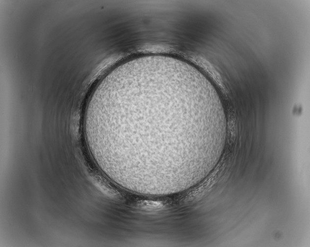 X0000098020159200804181211