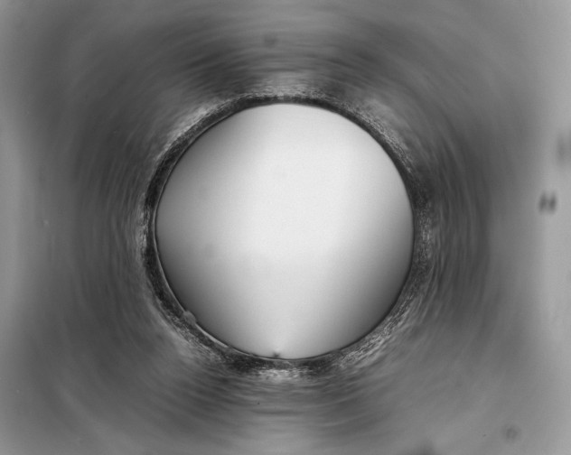 X0000098020160200804181212
