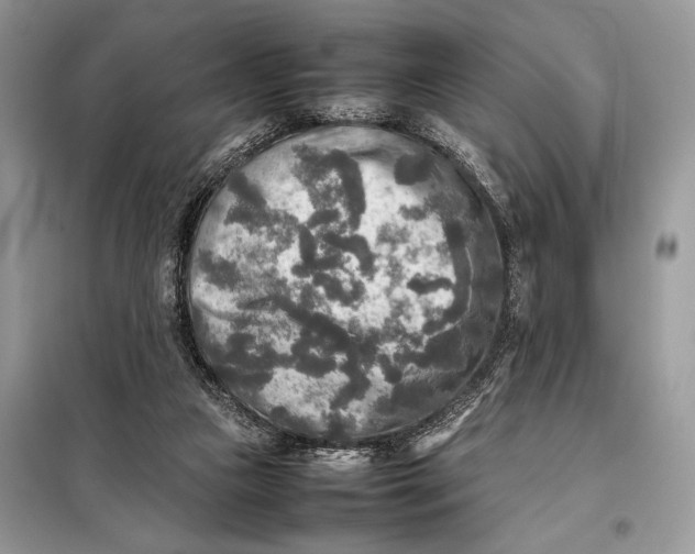 X0000098020161200804181212