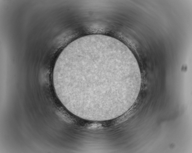 X0000098020162200804181212