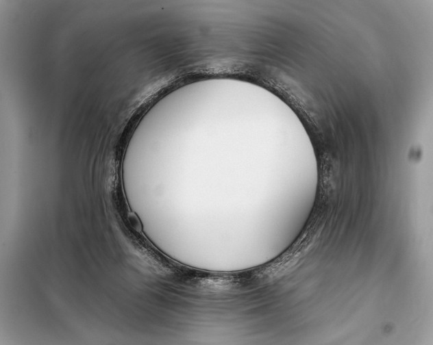 X0000098020164200804181212