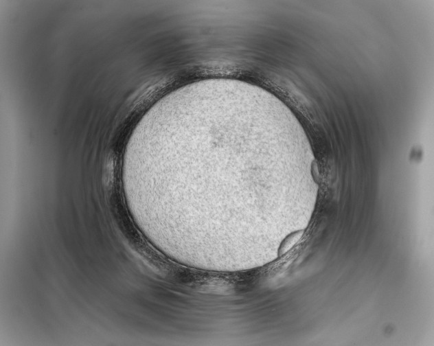 X0000098020166200804181212