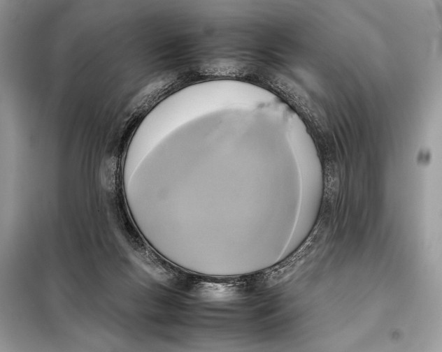 X0000098020167200804181212