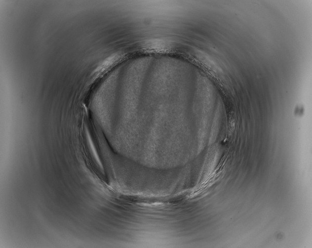 X0000098020168200804181212