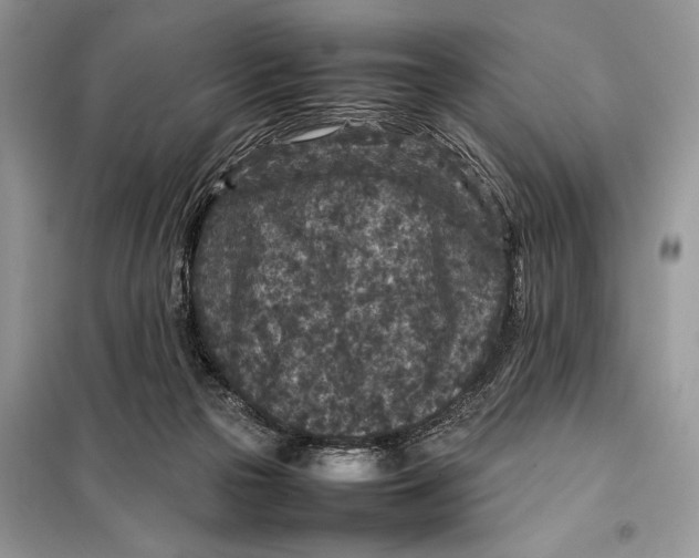 X0000098020169200804181212