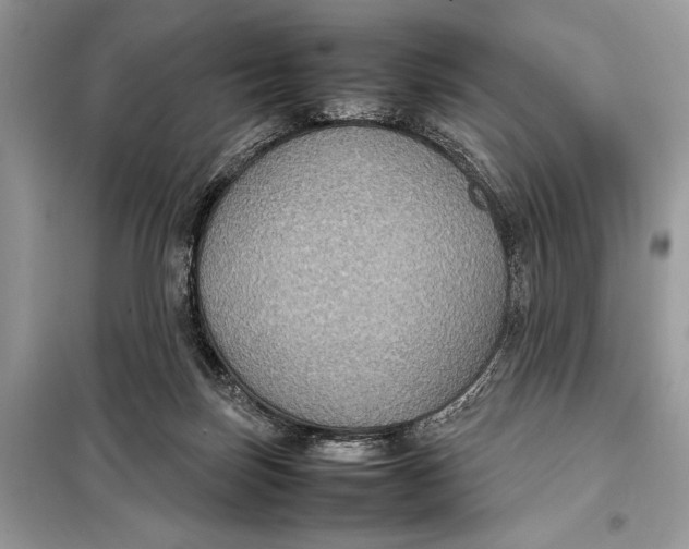 X0000098020171200804181212