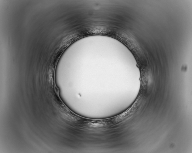 X0000098020175200804181212