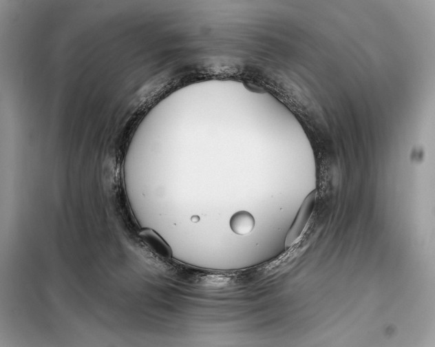 X0000098020176200804181212