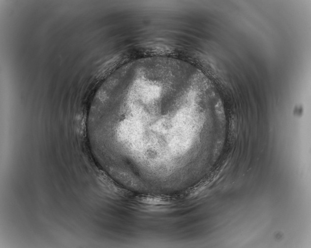 X0000098020177200804181212