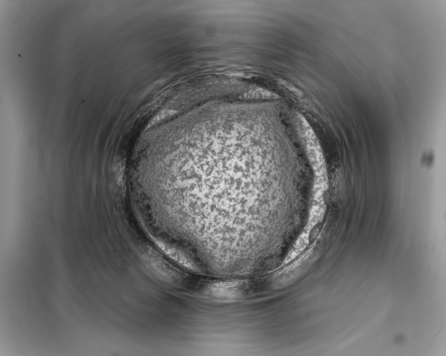 X0000098020178200804181212