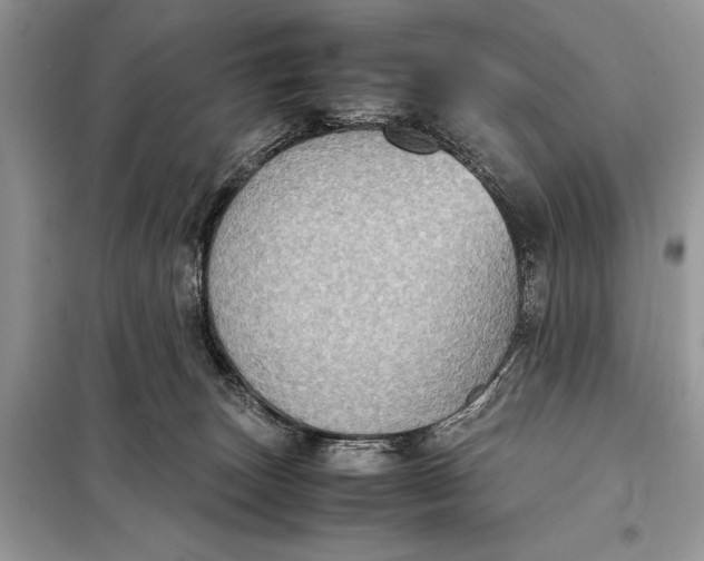 X0000098020179200804181212