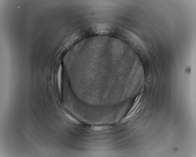X0000098020180200804181212