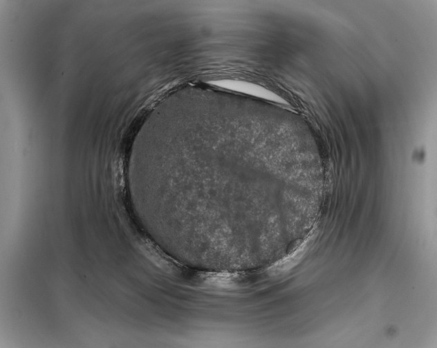 X0000098020182200804181212