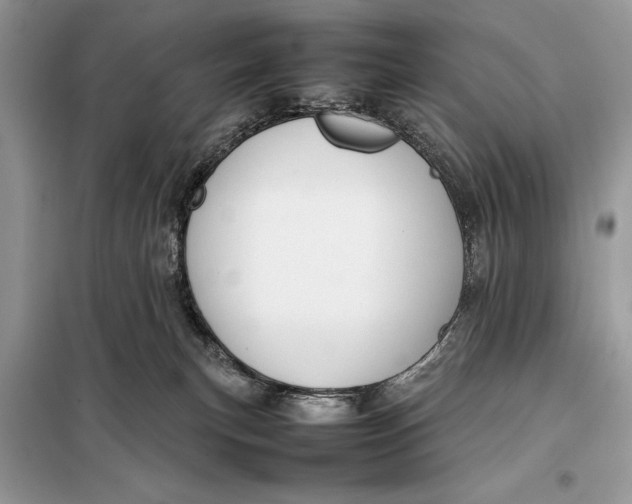 X0000098020183200804181212